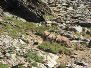 20090818 526 nr Gouter