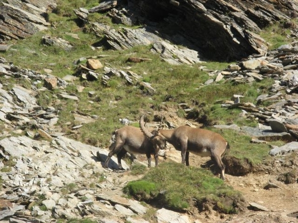 20090818 527 nr Gouter