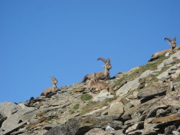 20090818 533 nr Gouter