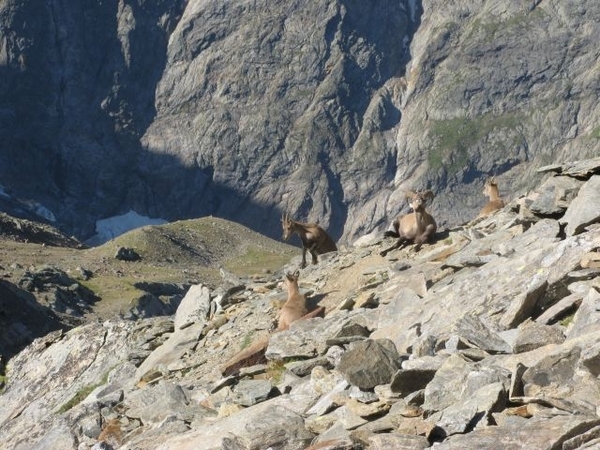 20090818 534 nr Gouter