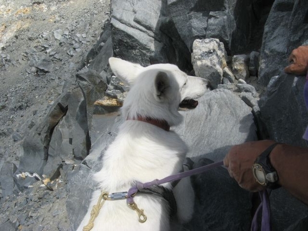 20090818 582 nr Gouter