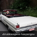 TIENEN bruidswagens ceremoniewagens oldtimers