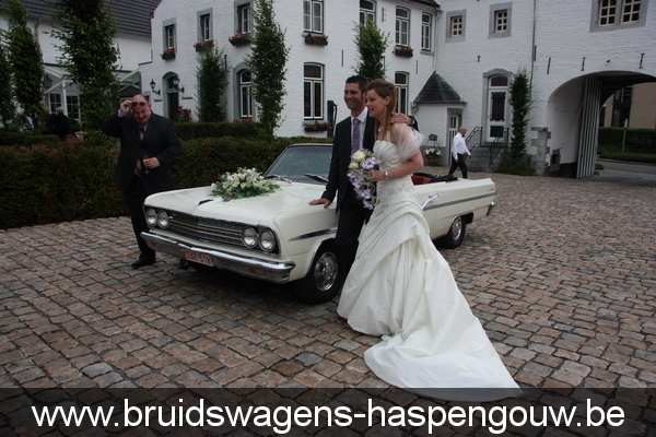 WALSHOUTEM OLMENHOF oldtimers bruidswagens