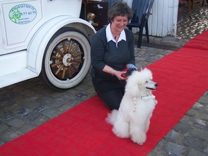 HELSHOVEN  Hoeve Ghysens Carine met 'n ster van een hondje