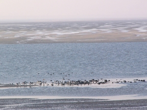 Zeeland 25