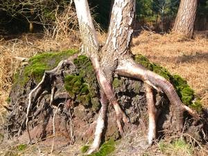 P1070053