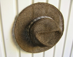 P8060020