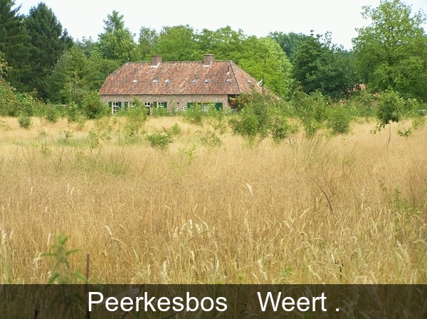 P7270014