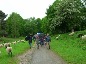 035 Mergelland 2006 Brunsummerheide Groep