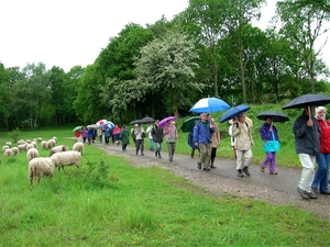 036 Mergelland 2006 Brunsummerheide Groep