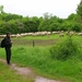 039 Mergelland 2006 Brunsummerheide schapen