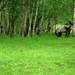 DSCN1248