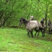 DSCN1251