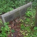 DSCN1275