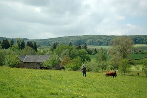 Geuldal_0029 kopie