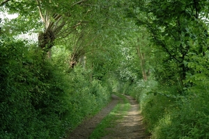Rijckholt_0004 kopie