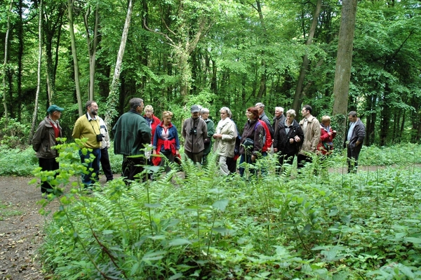 Rijckholt_0026 kopie