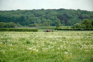 Rijckholt_0060 kopie