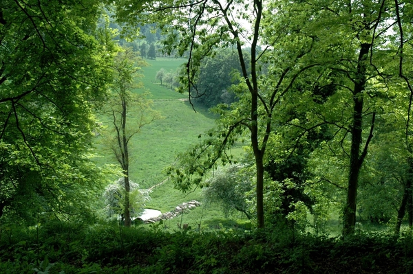 Savelsbos_0013 kopie