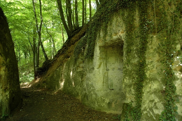 Savelsbos_0036 kopie