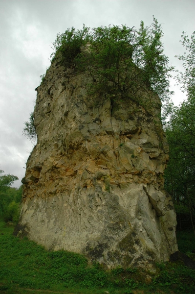 tRooth_0009 kopie