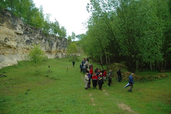 tRooth_0010 kopie