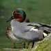 Wintertaling_002 kopie
