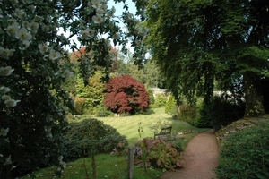 DSC_1067