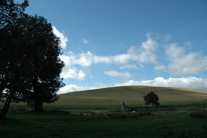 DSC_1285