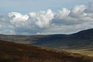 DSC_1303