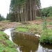 P1090733