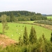 P1090743