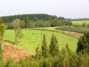 P1090743