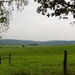 P1090746