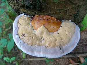 P1090766