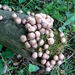 P1090767