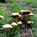 P1090767d