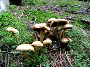 P1090767d