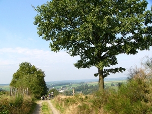 P1090790