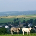P1090808