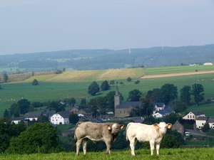 P1090808