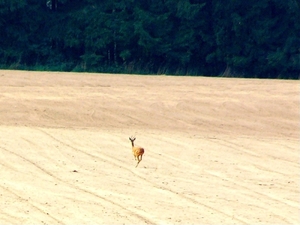 P1090826