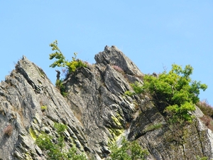 P1090834