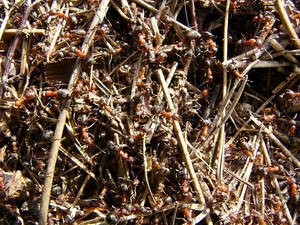 P1090854