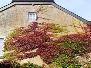 P1090866