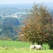 P1090866aa