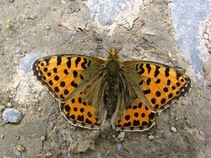 P1090878