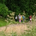 Boshuis 03
