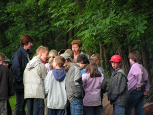 Boshuis 09