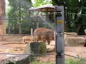 06 - 08 - 27 Zoo Antw 17